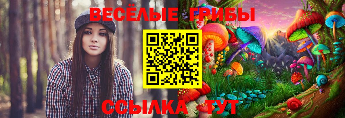 MDMA  Ляпка  Вход с VPN  Молли  A-PVP  Бошки Шишки  Меф  Старая Русса  Амфетамин  COCAIN  Марки 