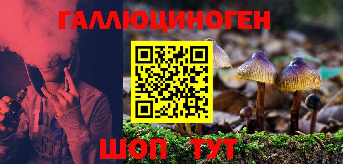 Галлюциногенные грибы ЛСД  Вход с VPN  Старая Русса 